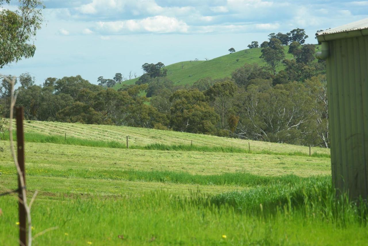Battunga Cottages Watervale Buitenkant foto