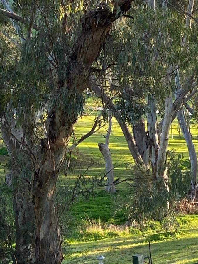 Battunga Cottages Watervale Buitenkant foto