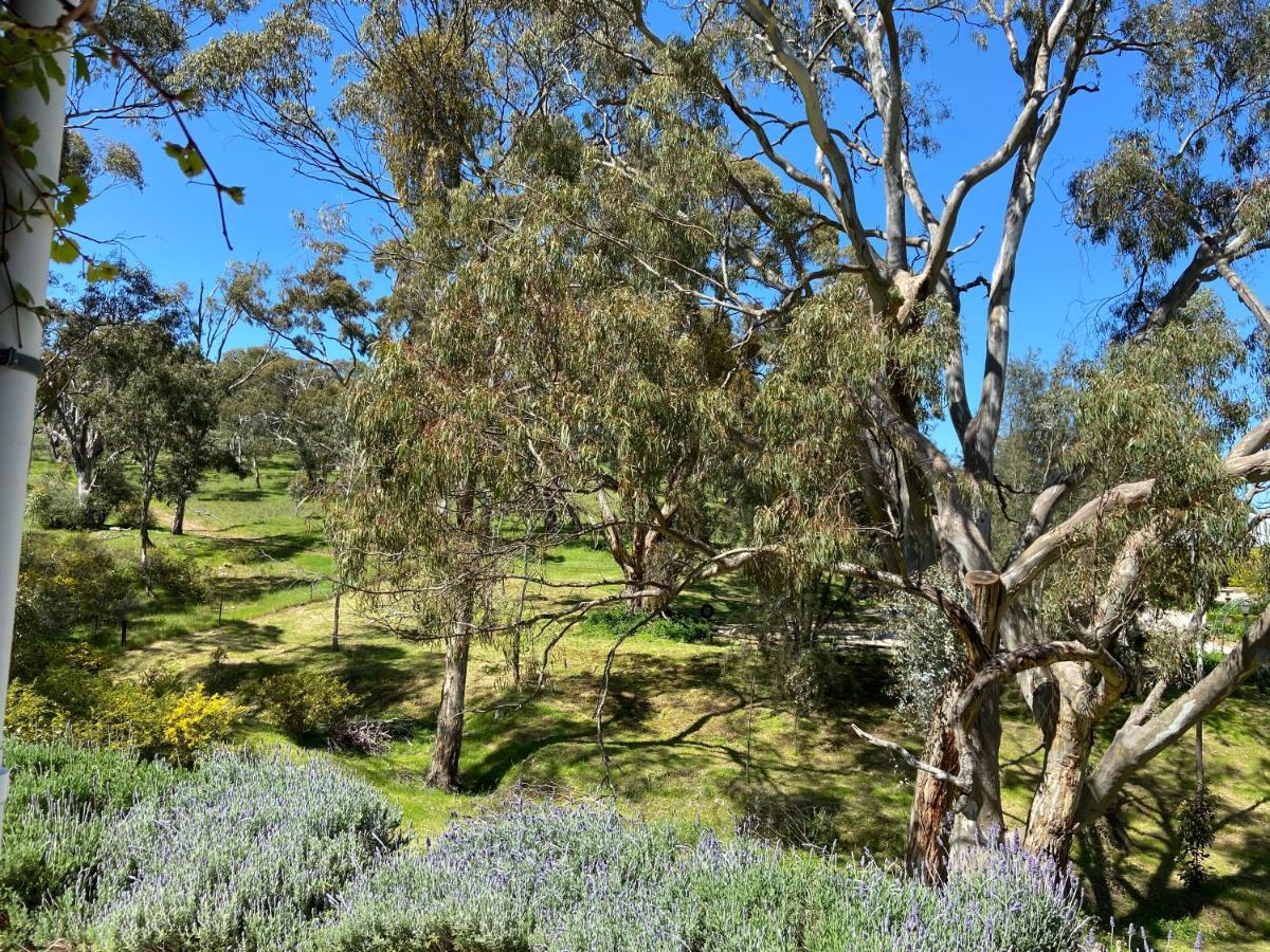 Battunga Cottages Watervale Buitenkant foto