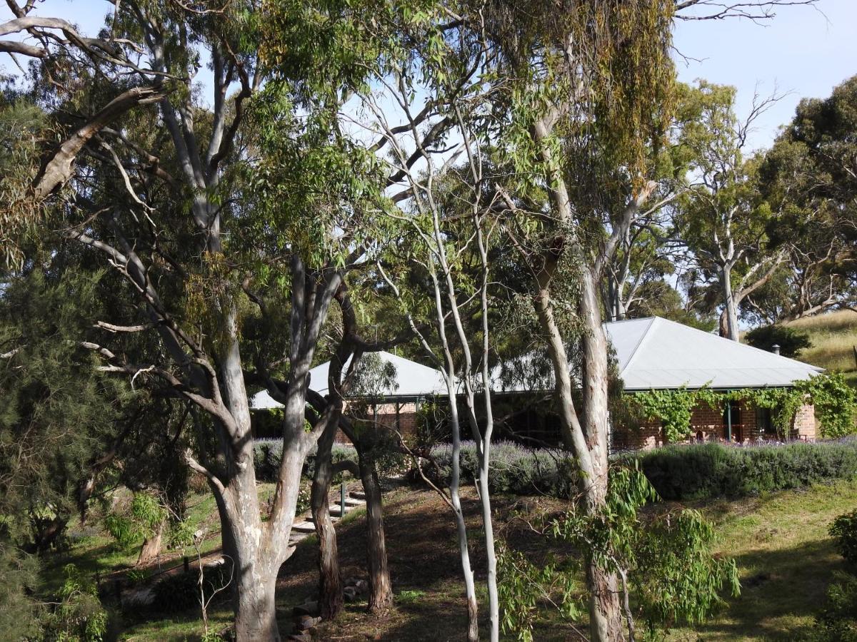 Battunga Cottages Watervale Buitenkant foto
