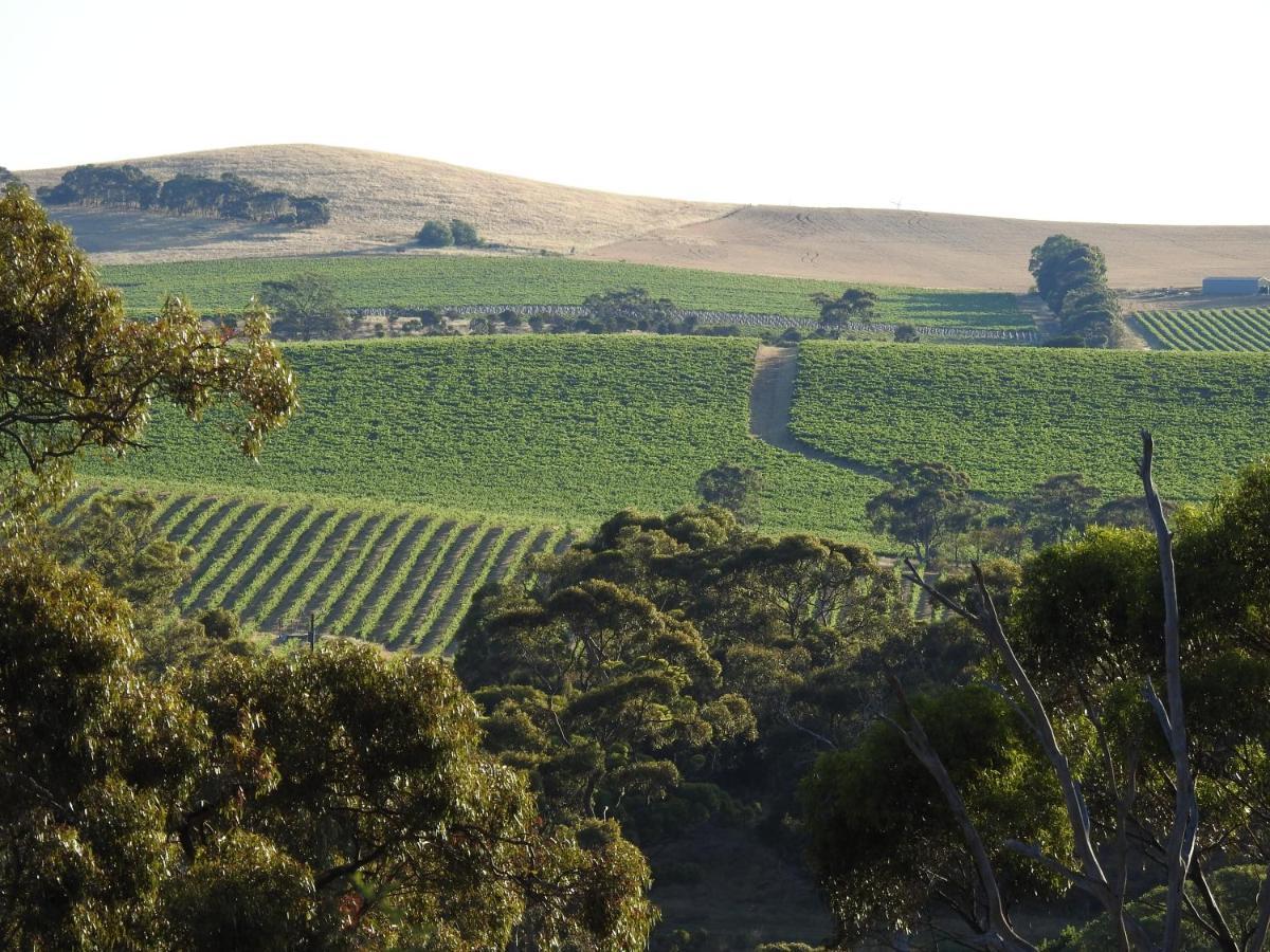 Battunga Cottages Watervale Buitenkant foto