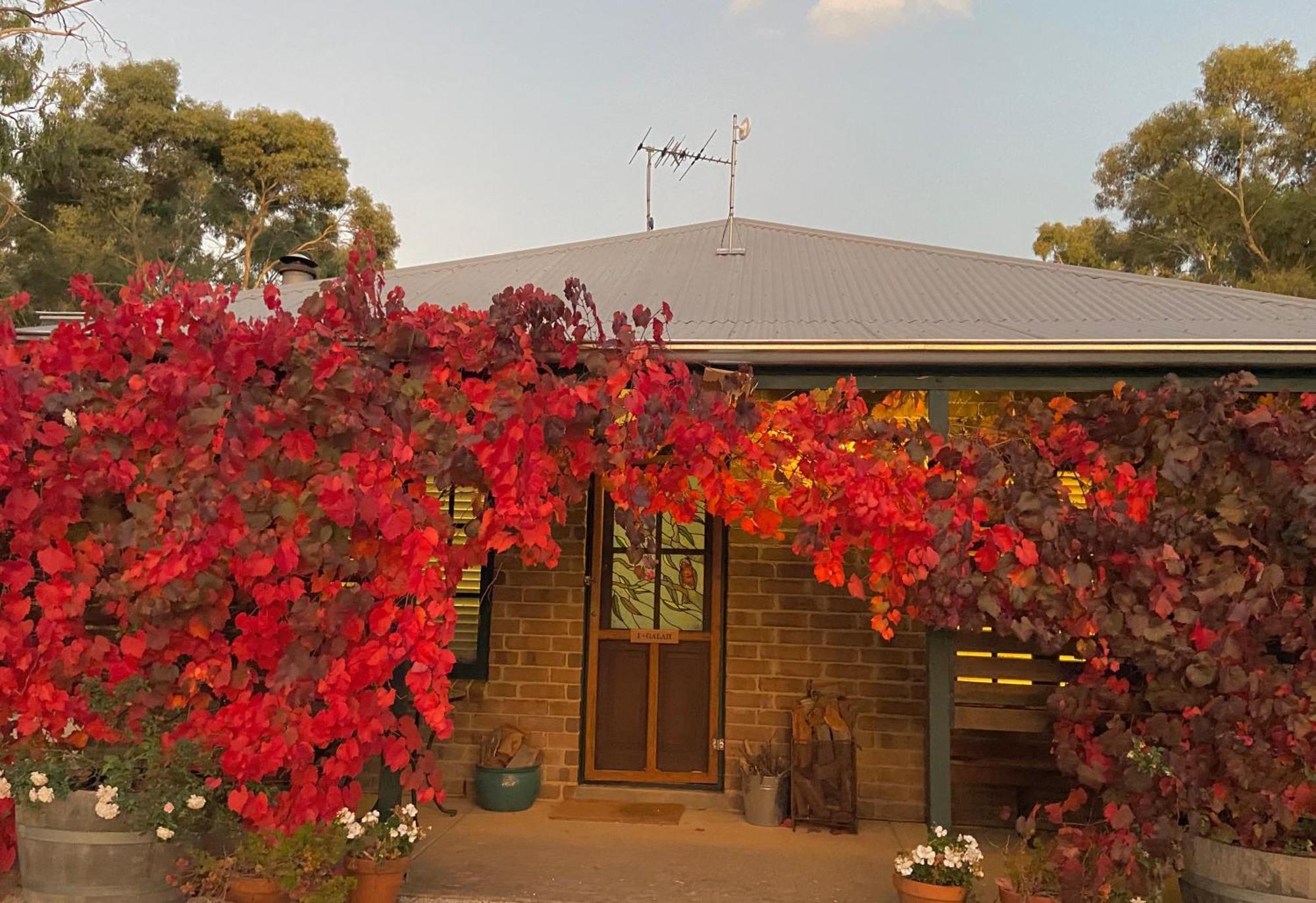 Battunga Cottages Watervale Buitenkant foto