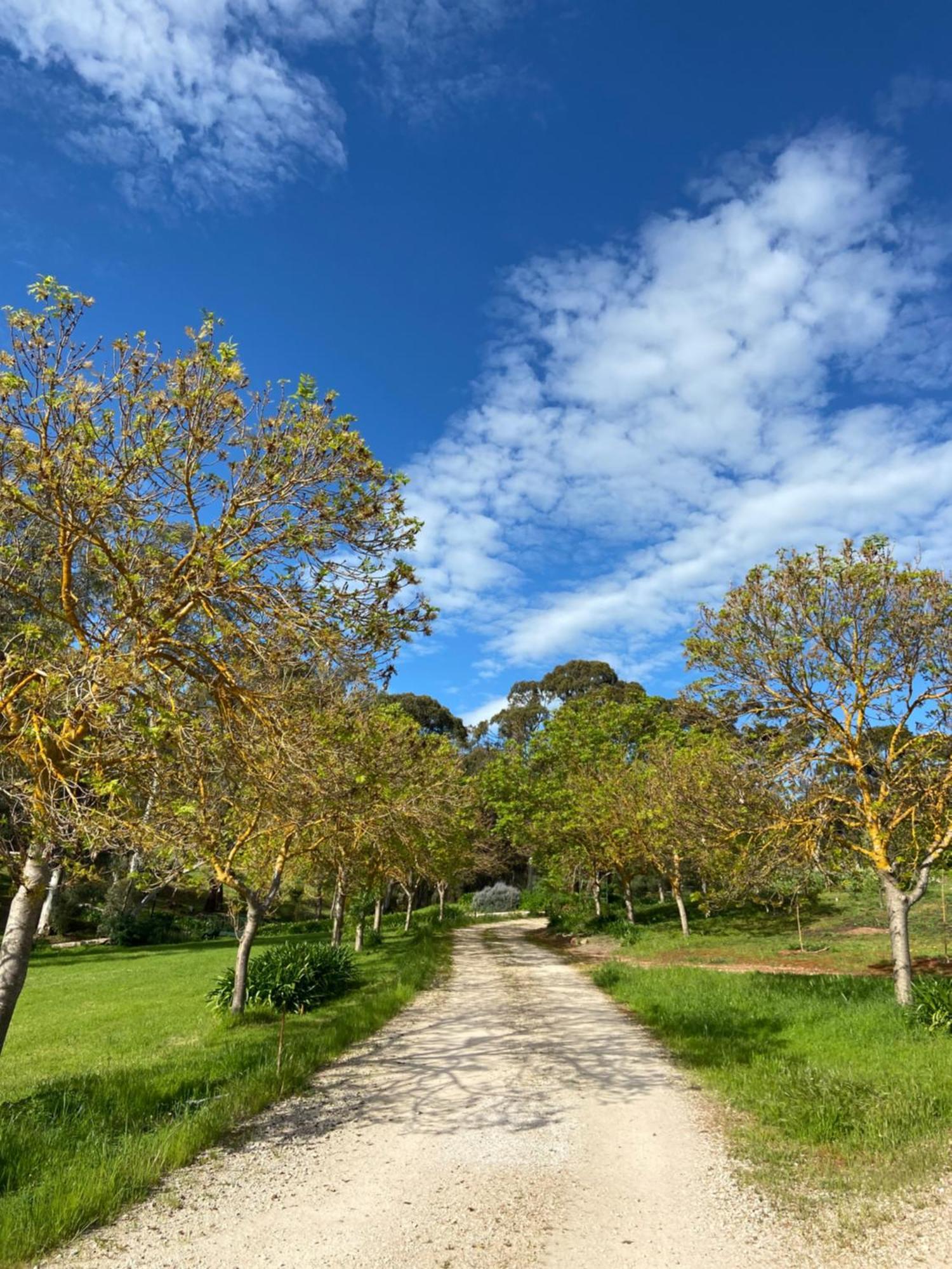 Battunga Cottages Watervale Buitenkant foto